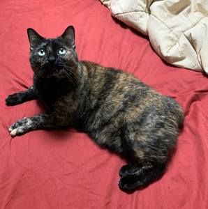 Meet your Posher, Natalie